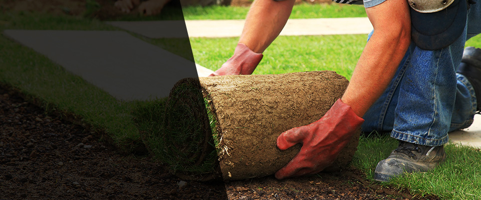 Thermopolis Landscapers